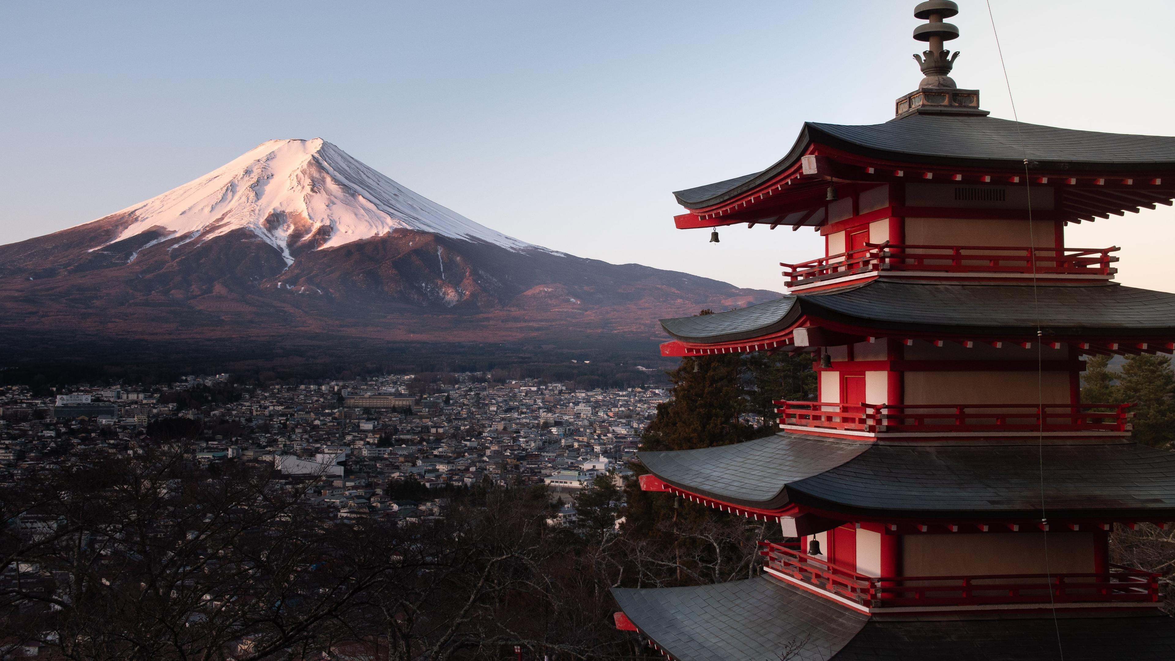 Japan Real Estate Market 2025: Tokyo's Resilience and Regional Opportunities