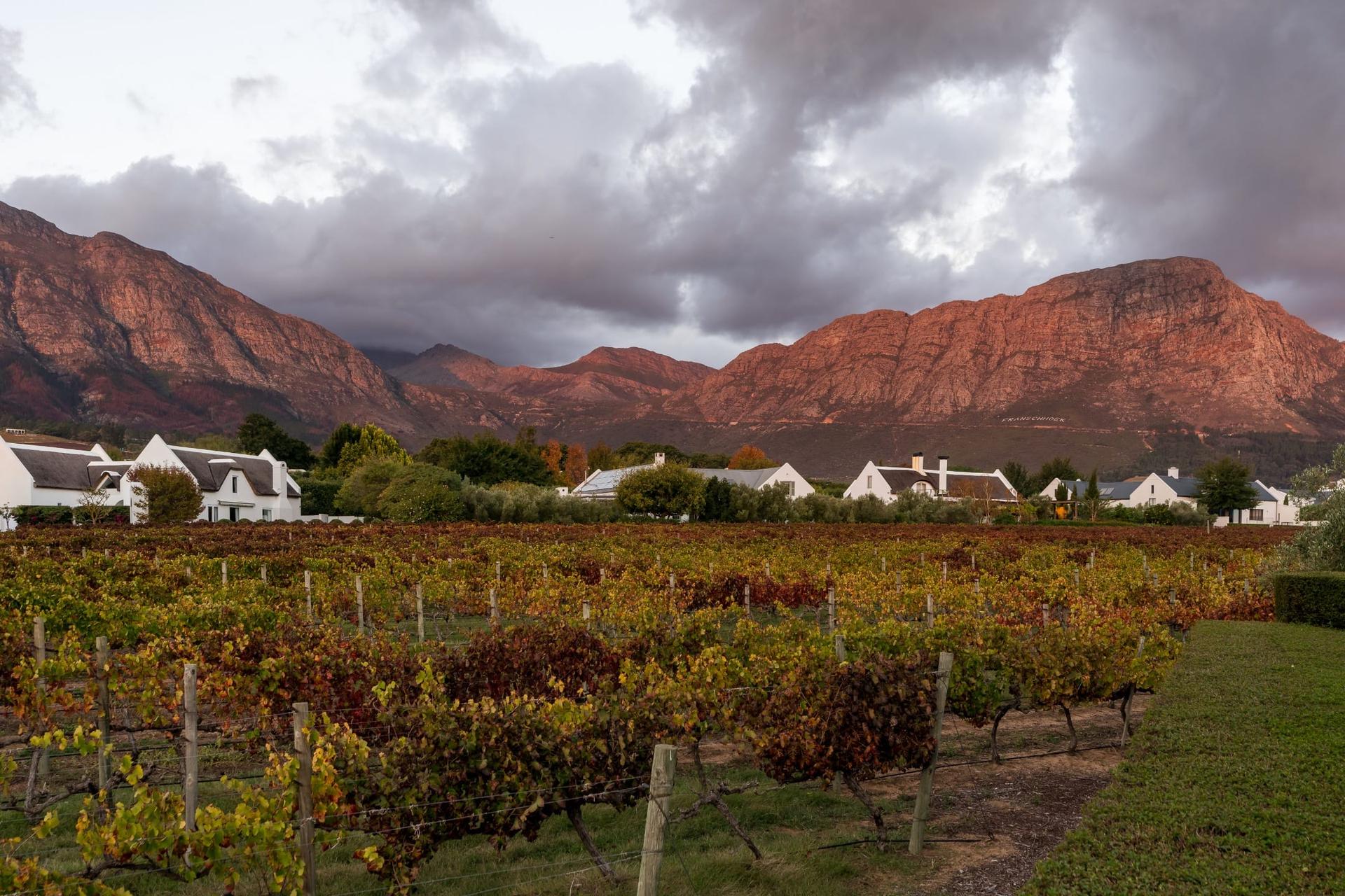 Timeless Estate Living with Vineyard Views and Absolute Privacy — photograph 2