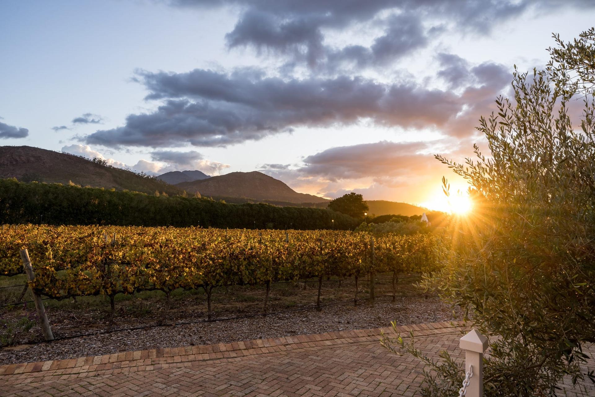 Timeless Estate Living with Vineyard Views and Absolute Privacy — photograph 3