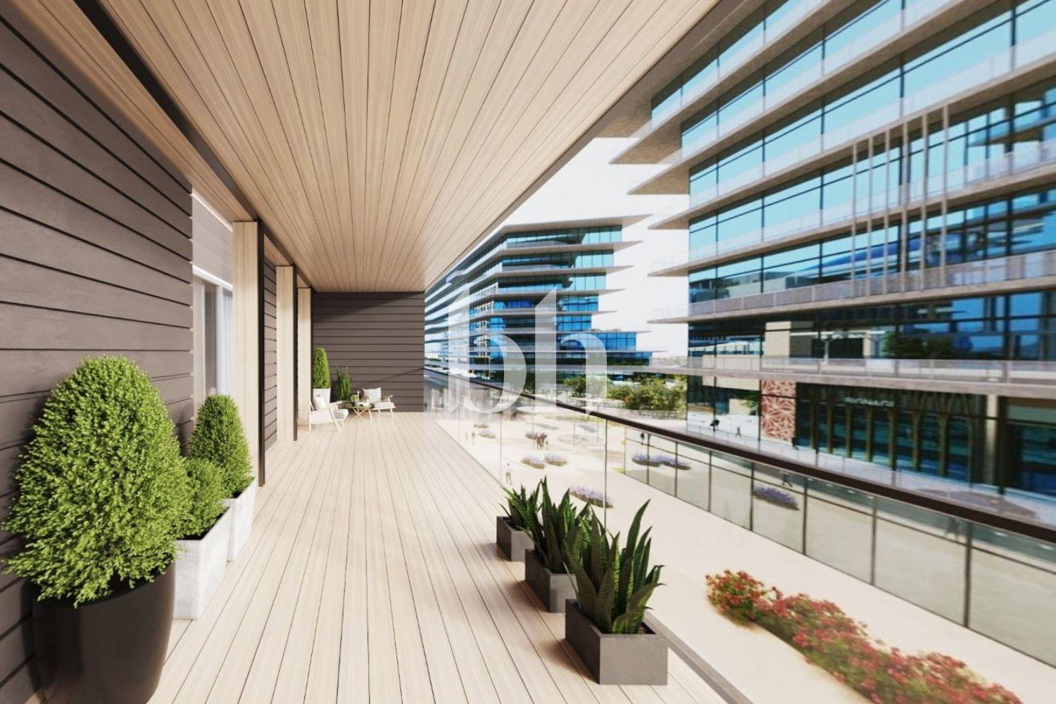 Saadiyat Grove — photograph 1