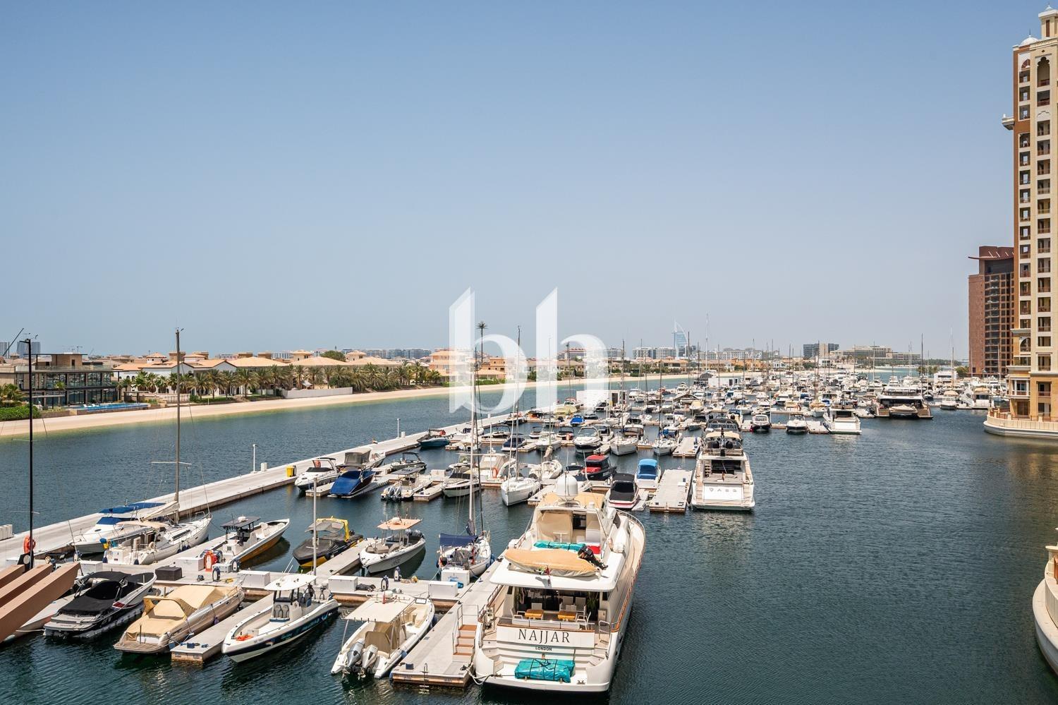Palm Views East — photograph 1