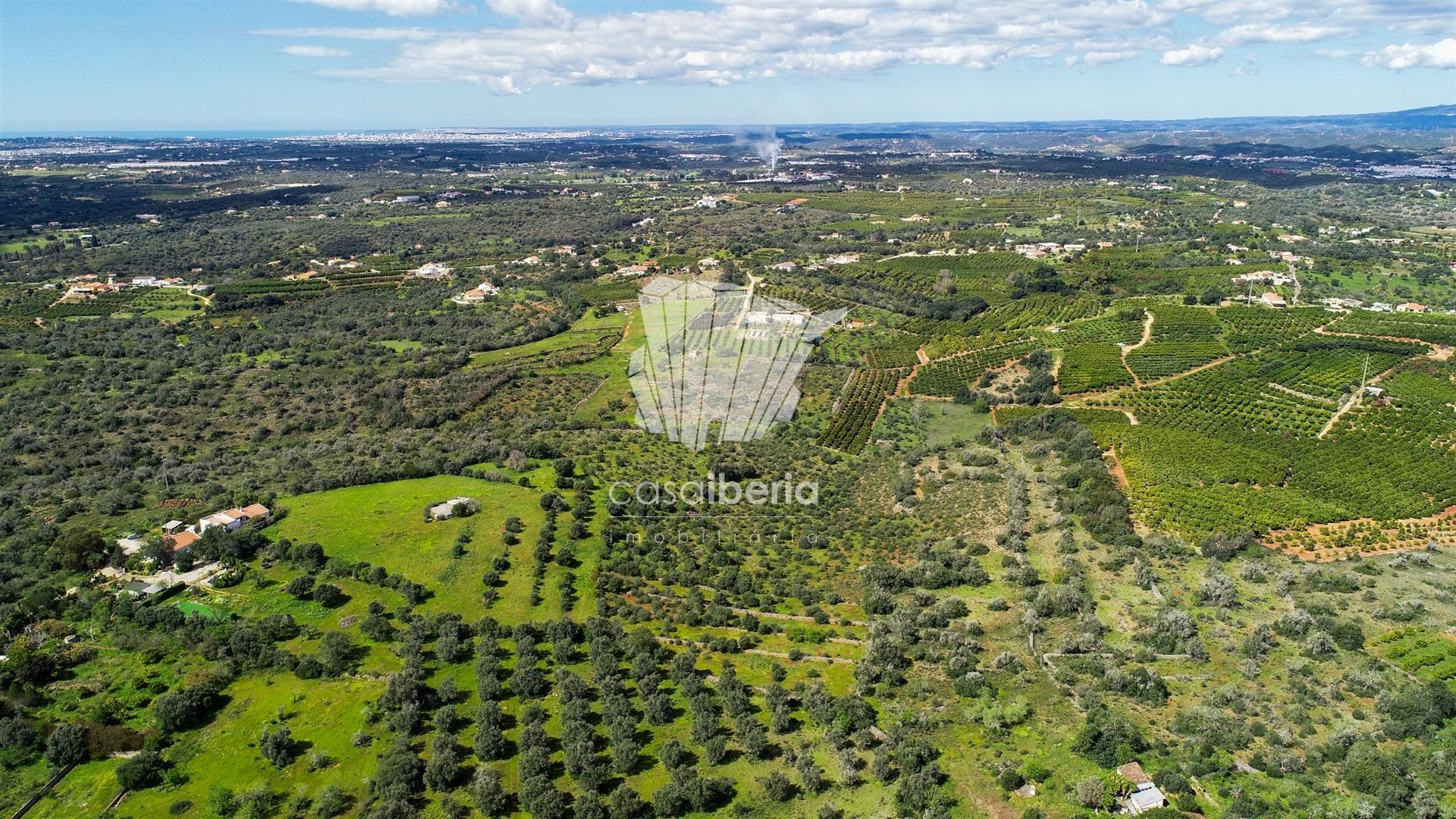 Rural Villa to Renovate near Silves — photograph 5