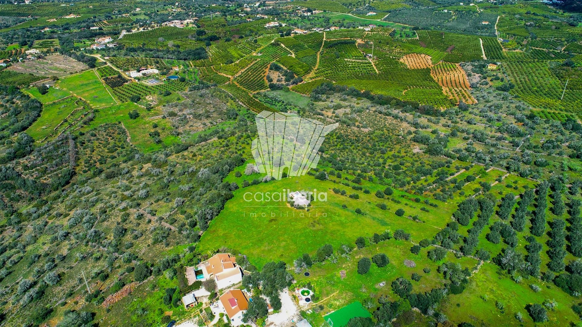 Rural Villa to Renovate near Silves — photograph 3