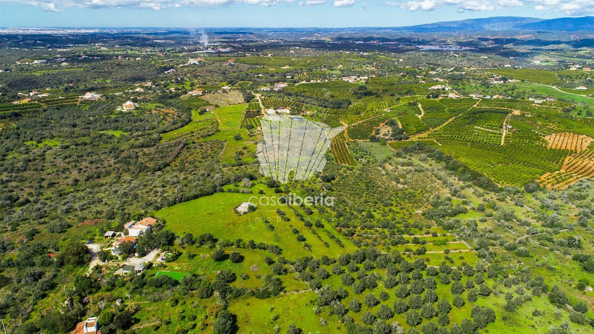 Rural Villa to Renovate near Silves — photograph 2