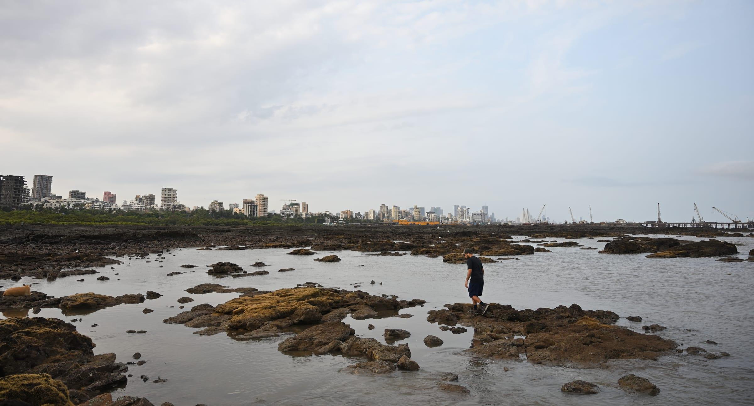 India's Luxury Real Estate Boom: NRI Capital, Branded Residences, and Record Mumbai Sales Are Redefining the Market in 2026