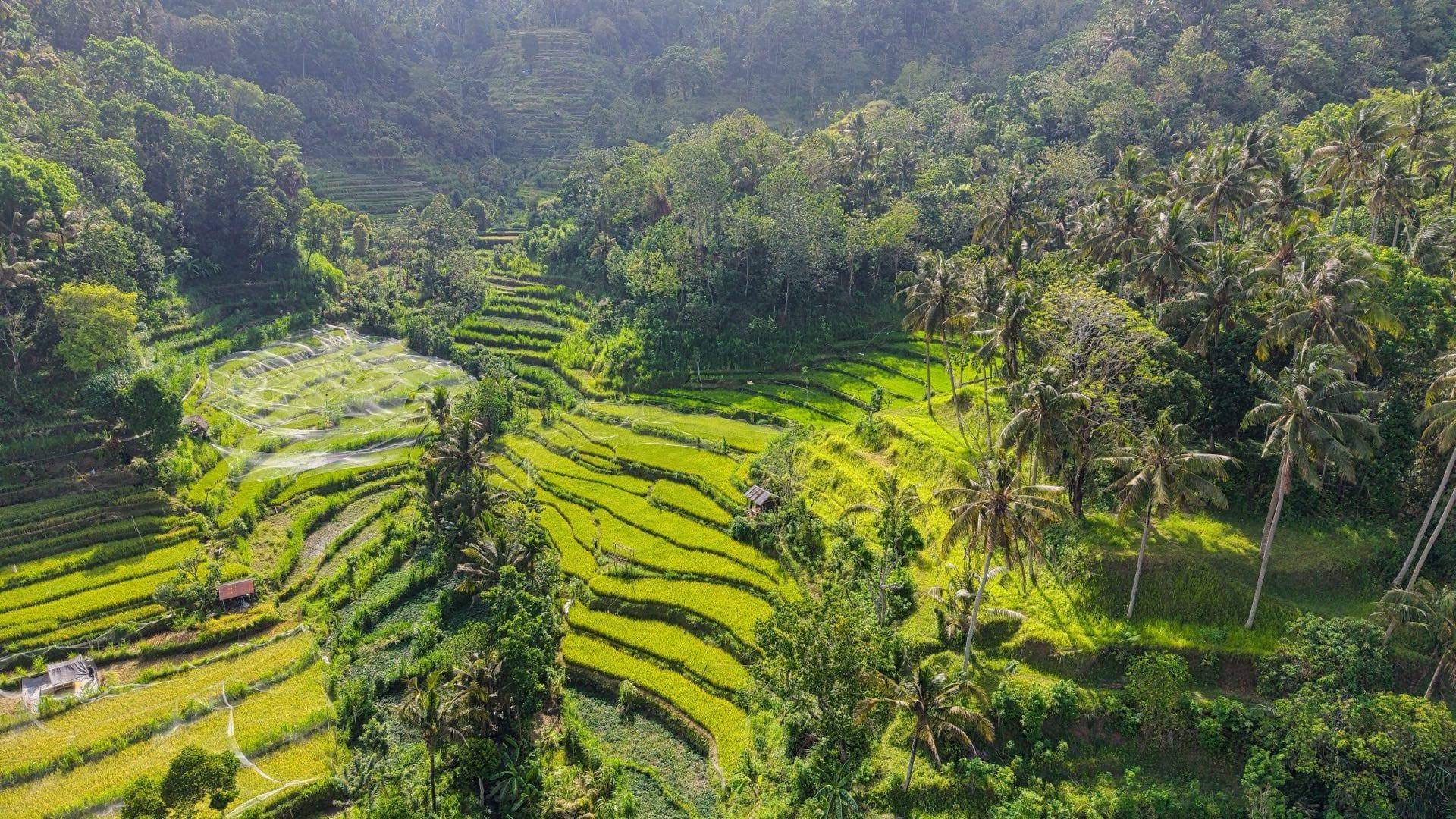 Complete Investor Guide to Indonesian Property