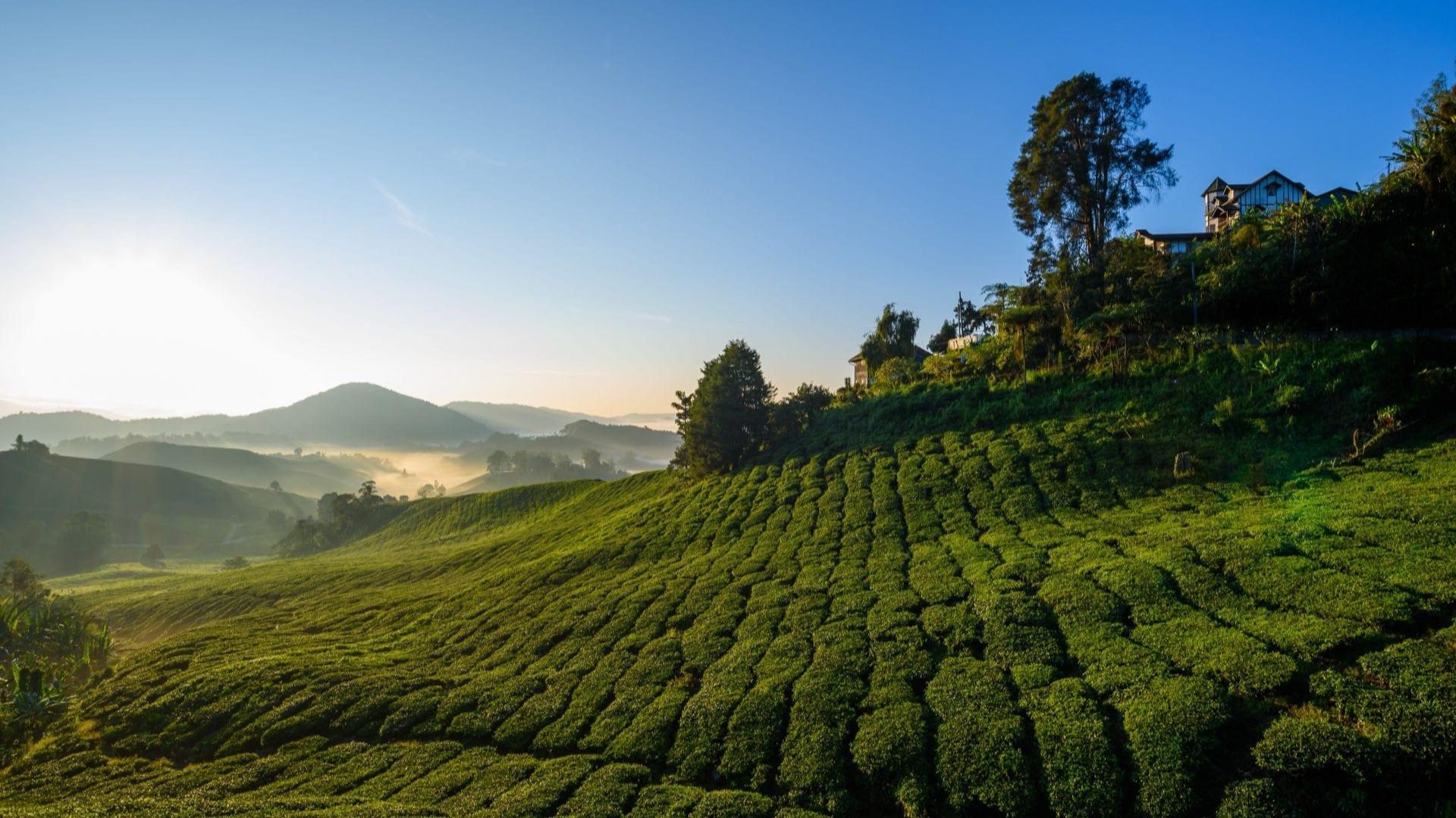 Malaysia Investor Guide
