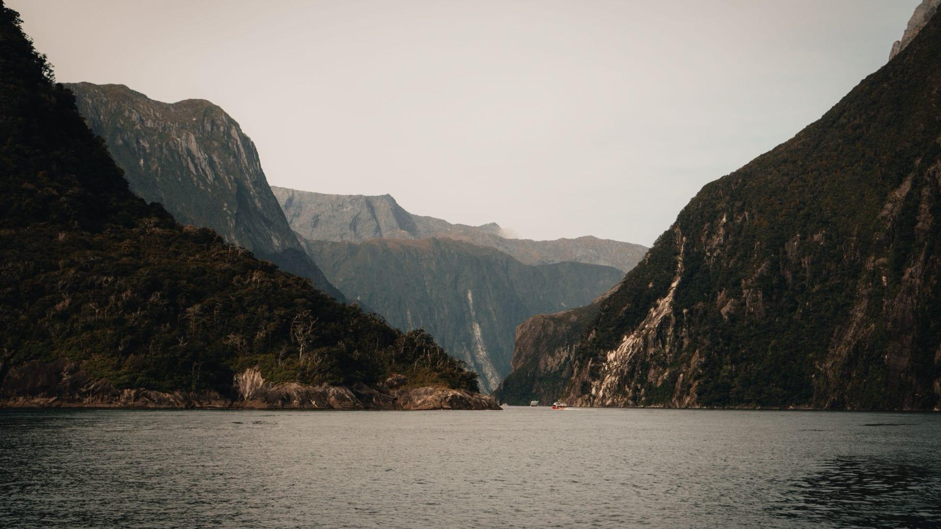 New Zealand Investor Guide