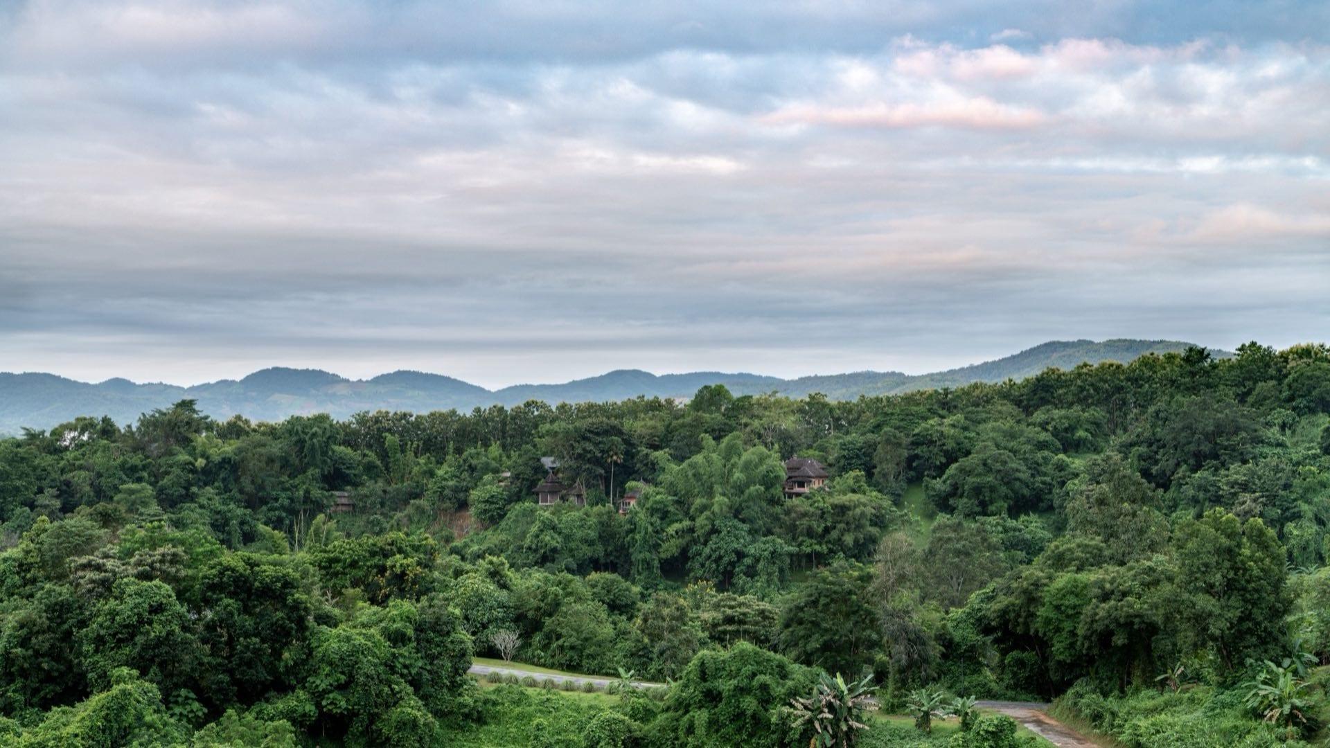 Complete Investor Guide to Thai Property