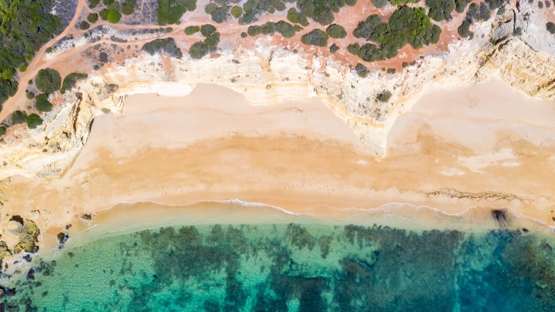 Algarve City Guide