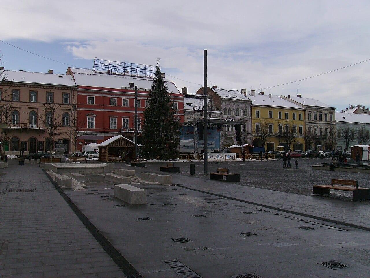 Cluj-Napoca City Guide