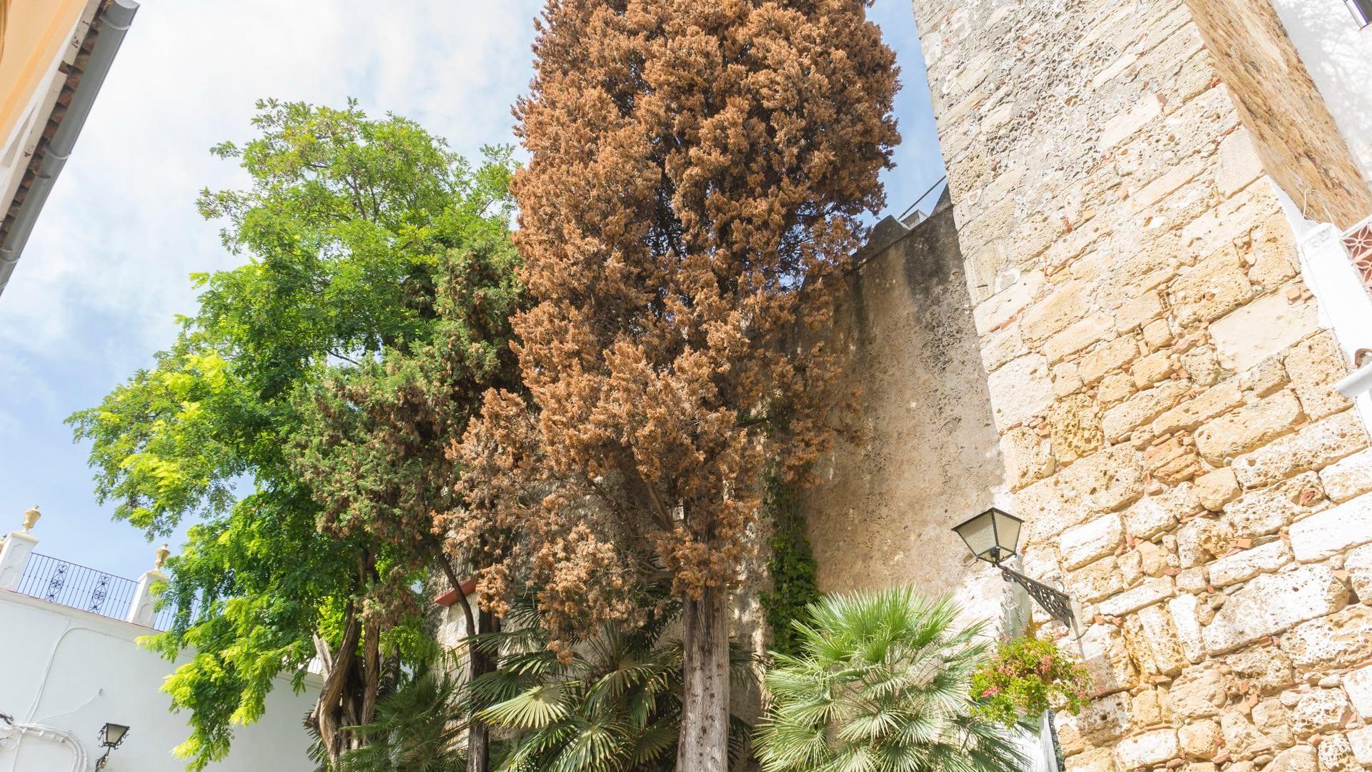 Marbella City Guide