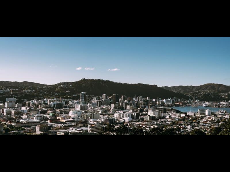 Wellington CBD / Lambton Quay