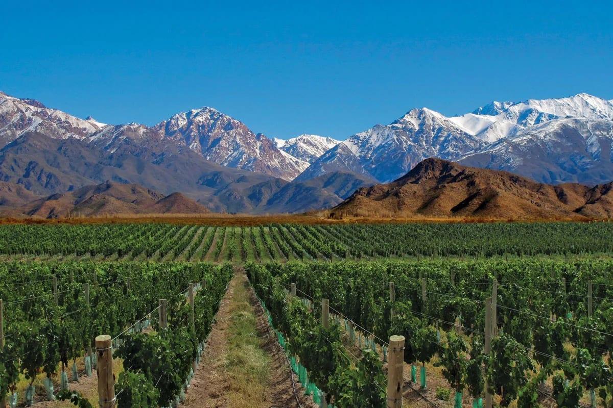 Mendoza property investment
