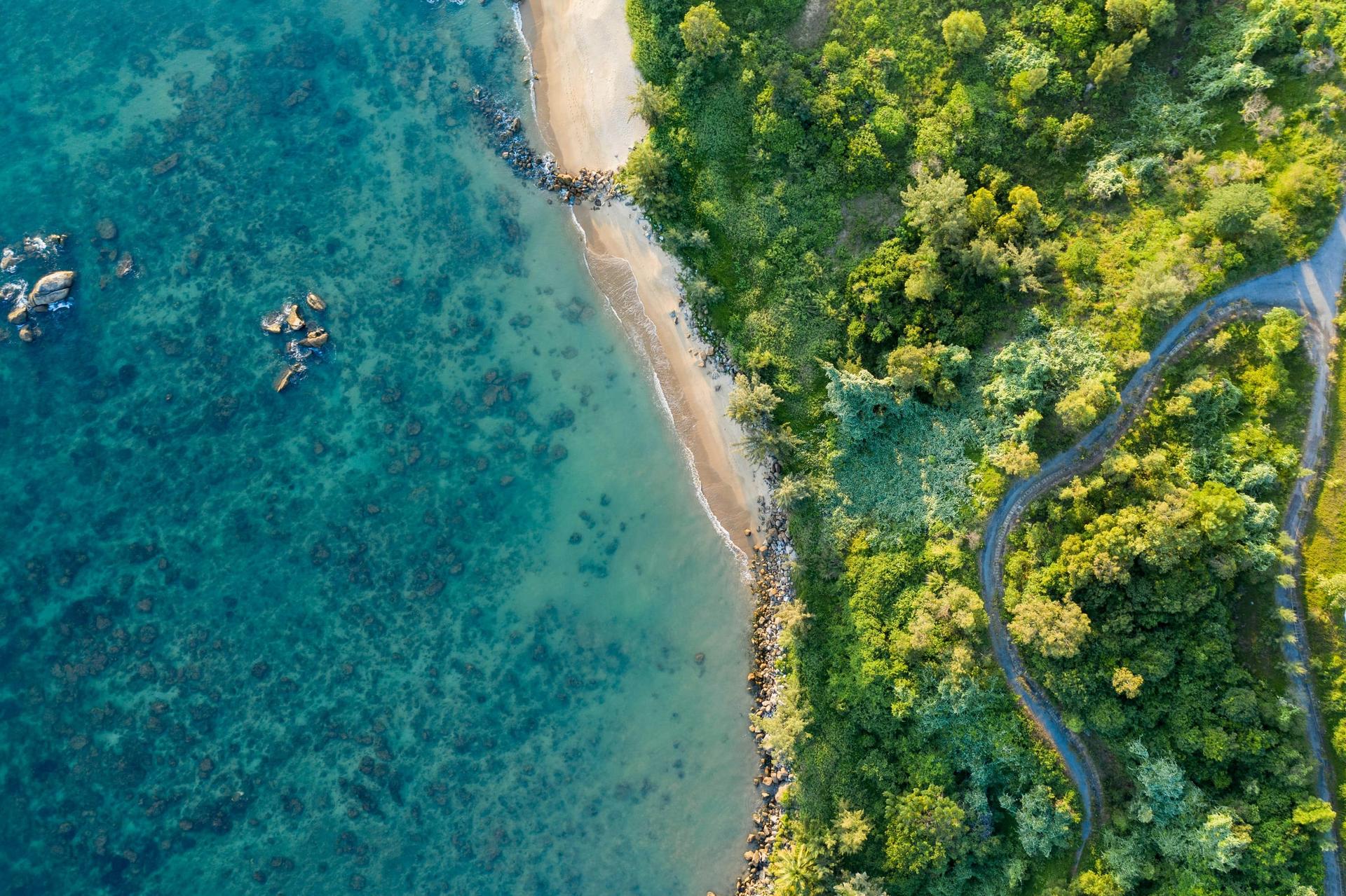 Coastal & Lifestyle Markets property investment