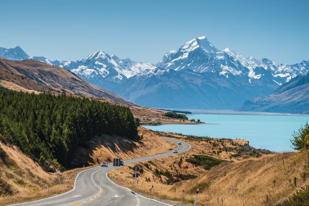 New Zealand property investment