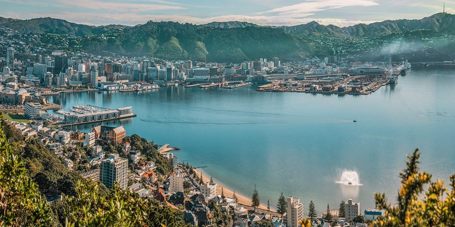 Wellington property investment