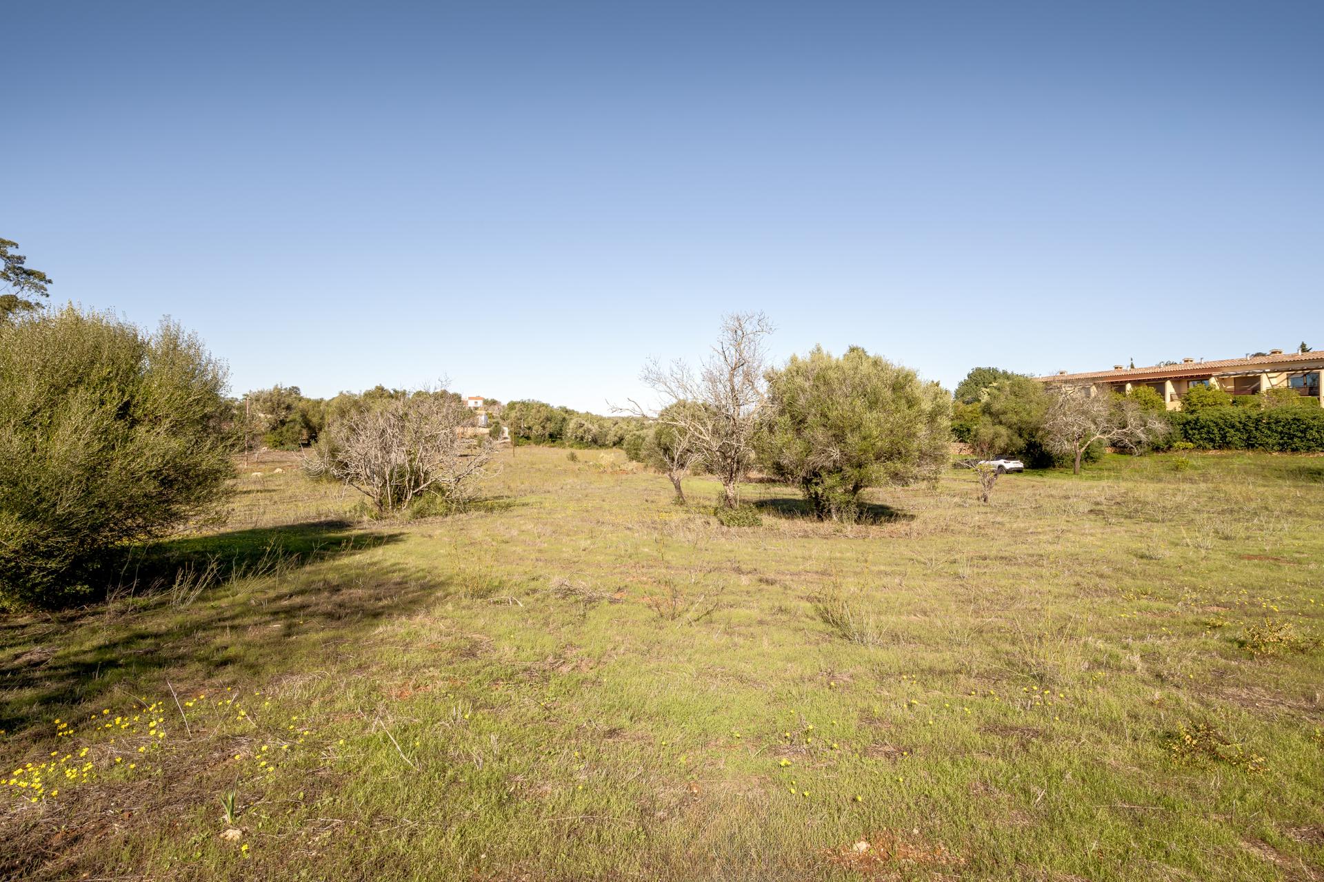 Farm in Silves — photograph 2