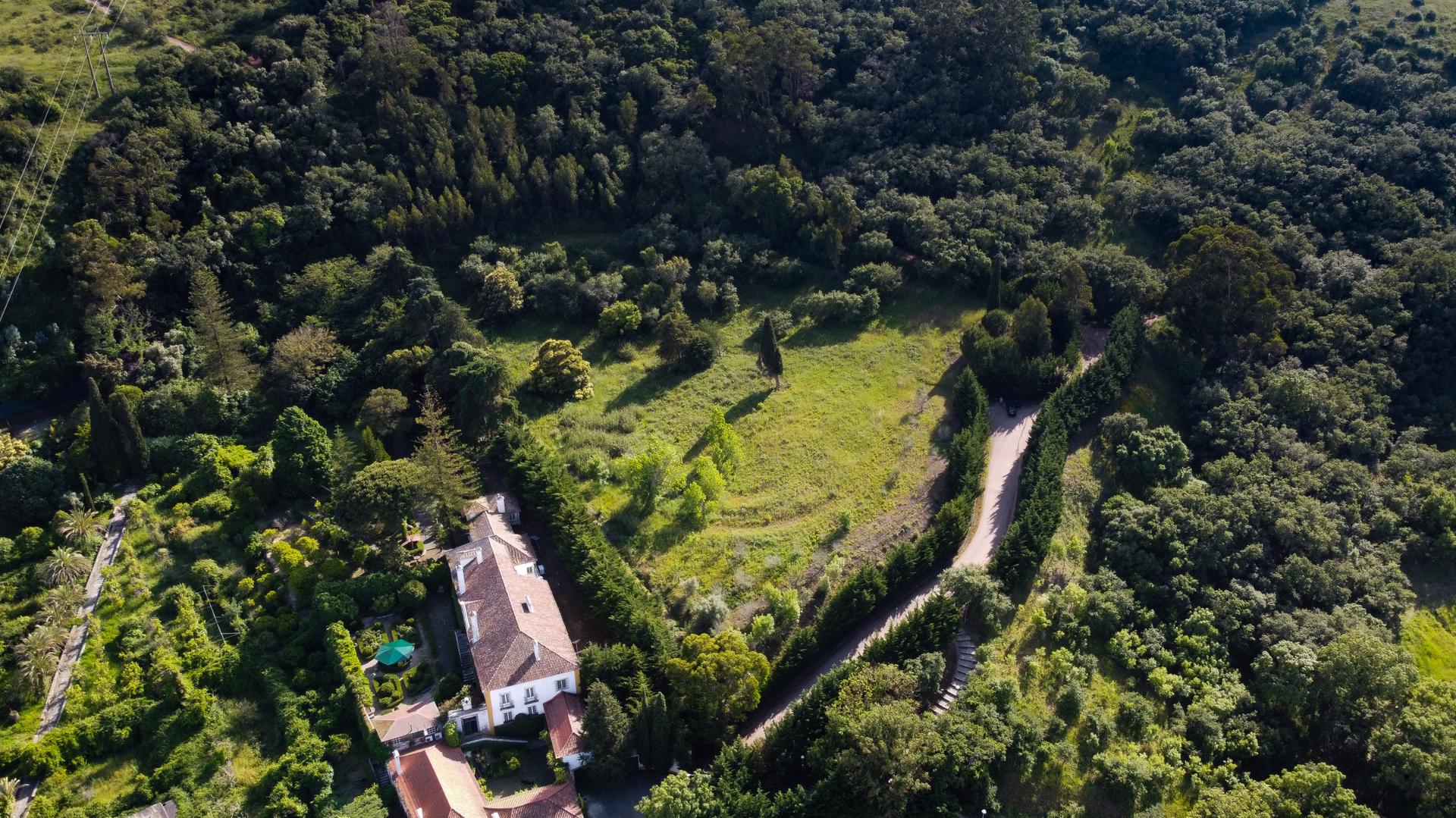Land in Loures — photograph 1