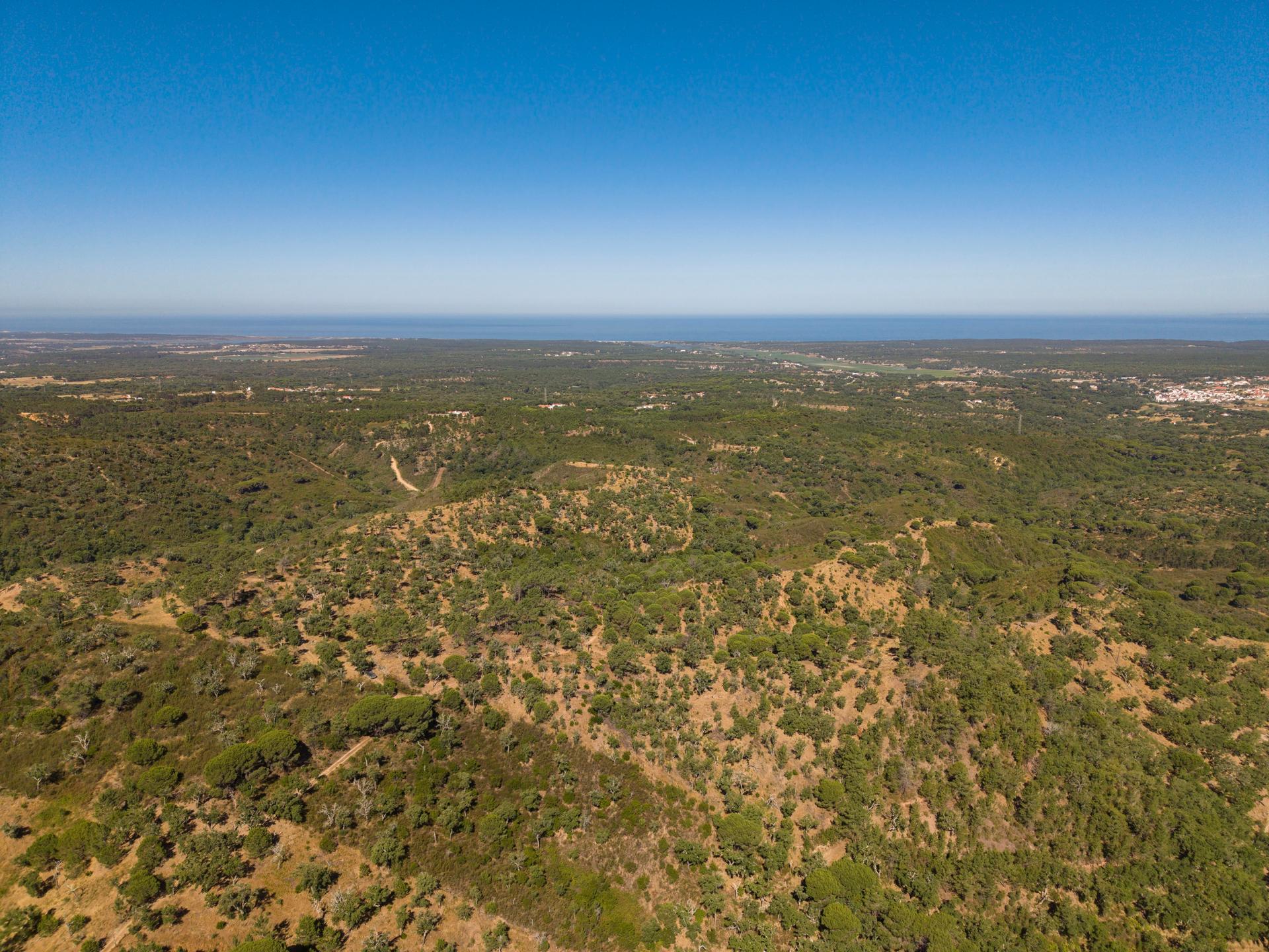 Land in Grândola (98225) — photograph 2