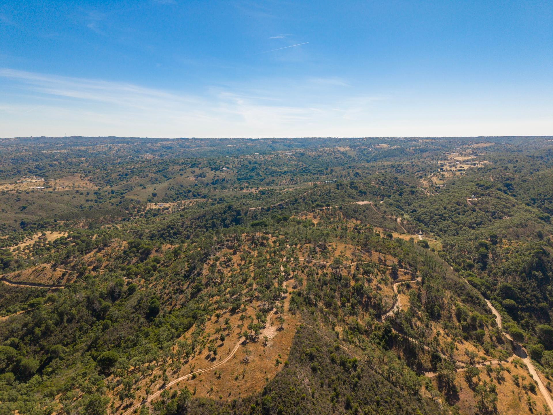 Land in Grândola (98225) — photograph 5