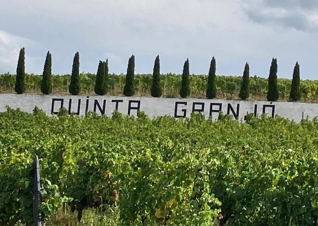Land in Alijó — photograph 2