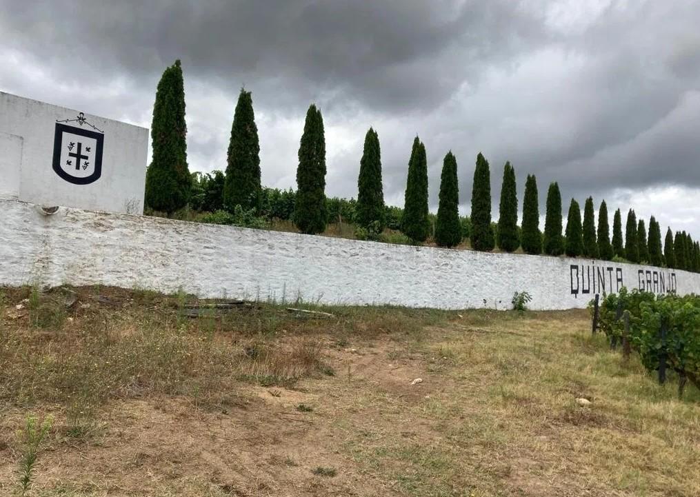Land in Alijó — photograph 3