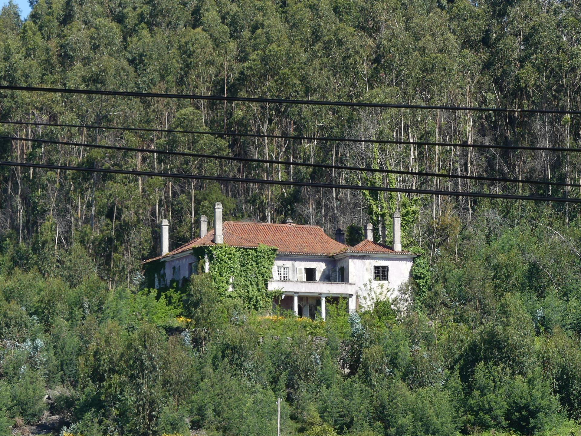 Farm in Barcelos (47452) — photograph 2