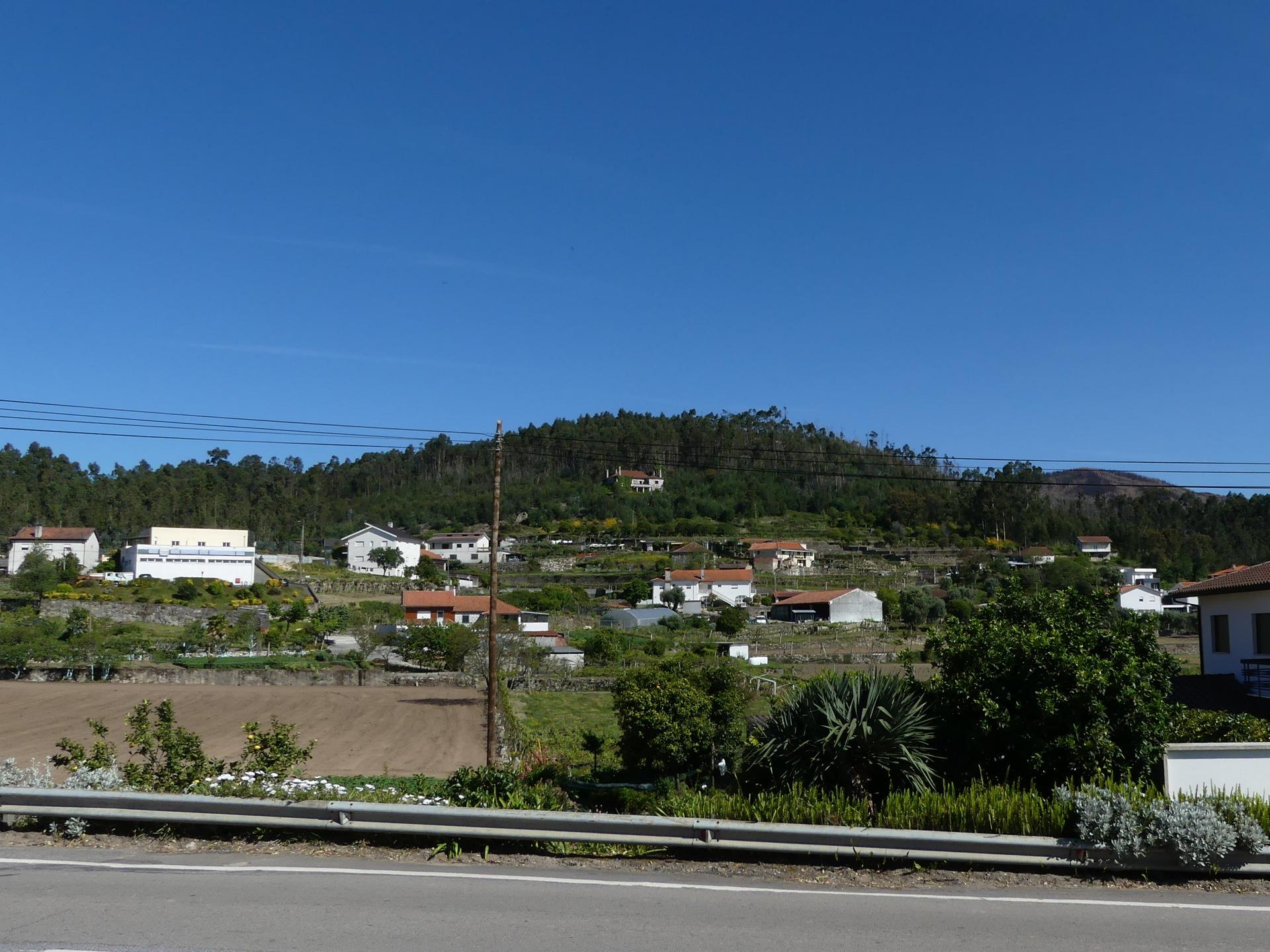 Farm in Barcelos (47452) — photograph 4