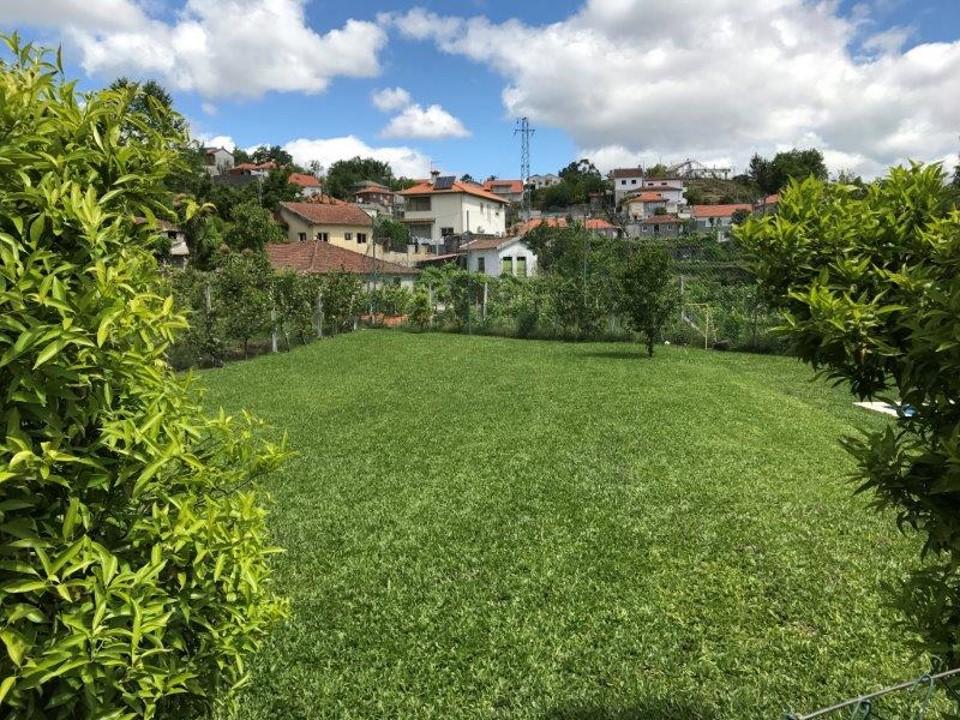 Farm in Fafe — photograph 4