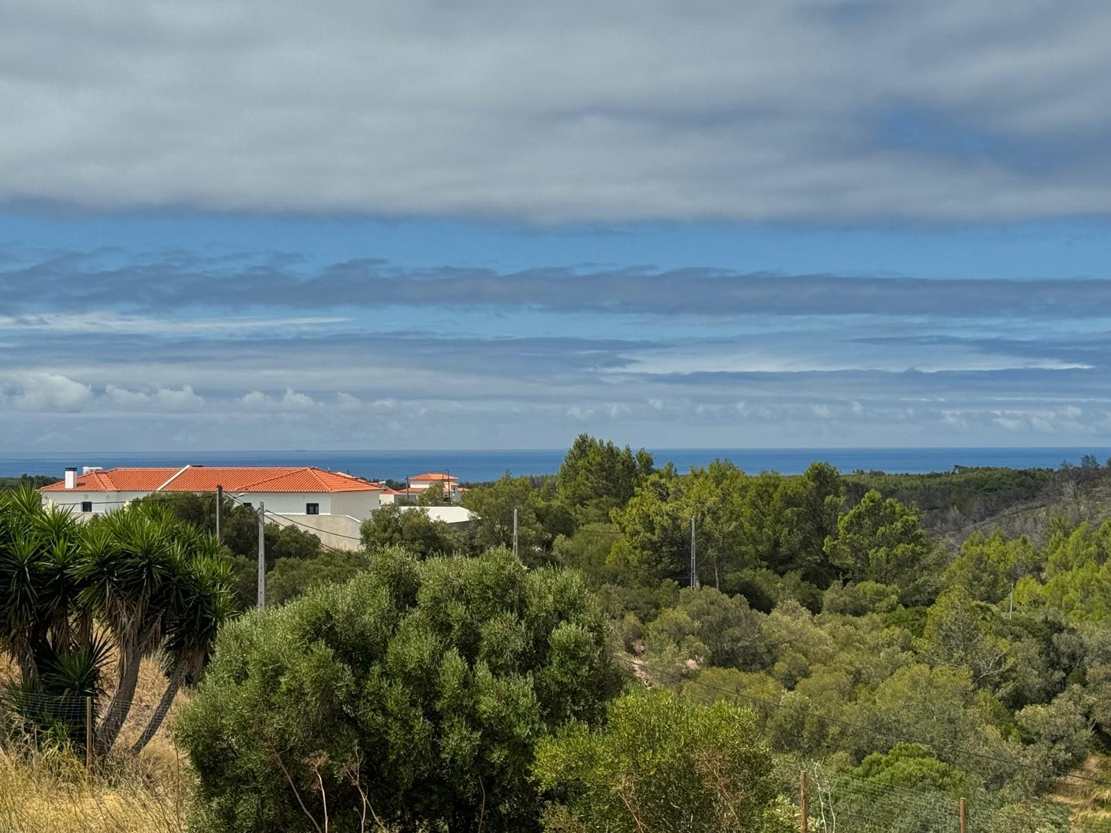House in Cascais (96133) — photograph 5