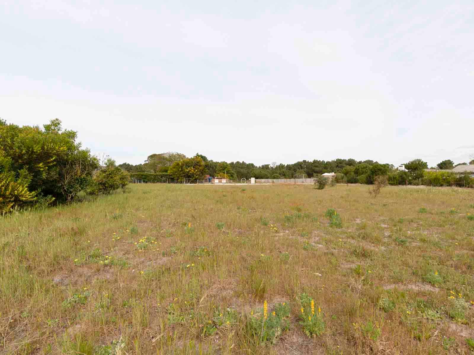 Land in Alcácer do Sal (71070) — photograph 4