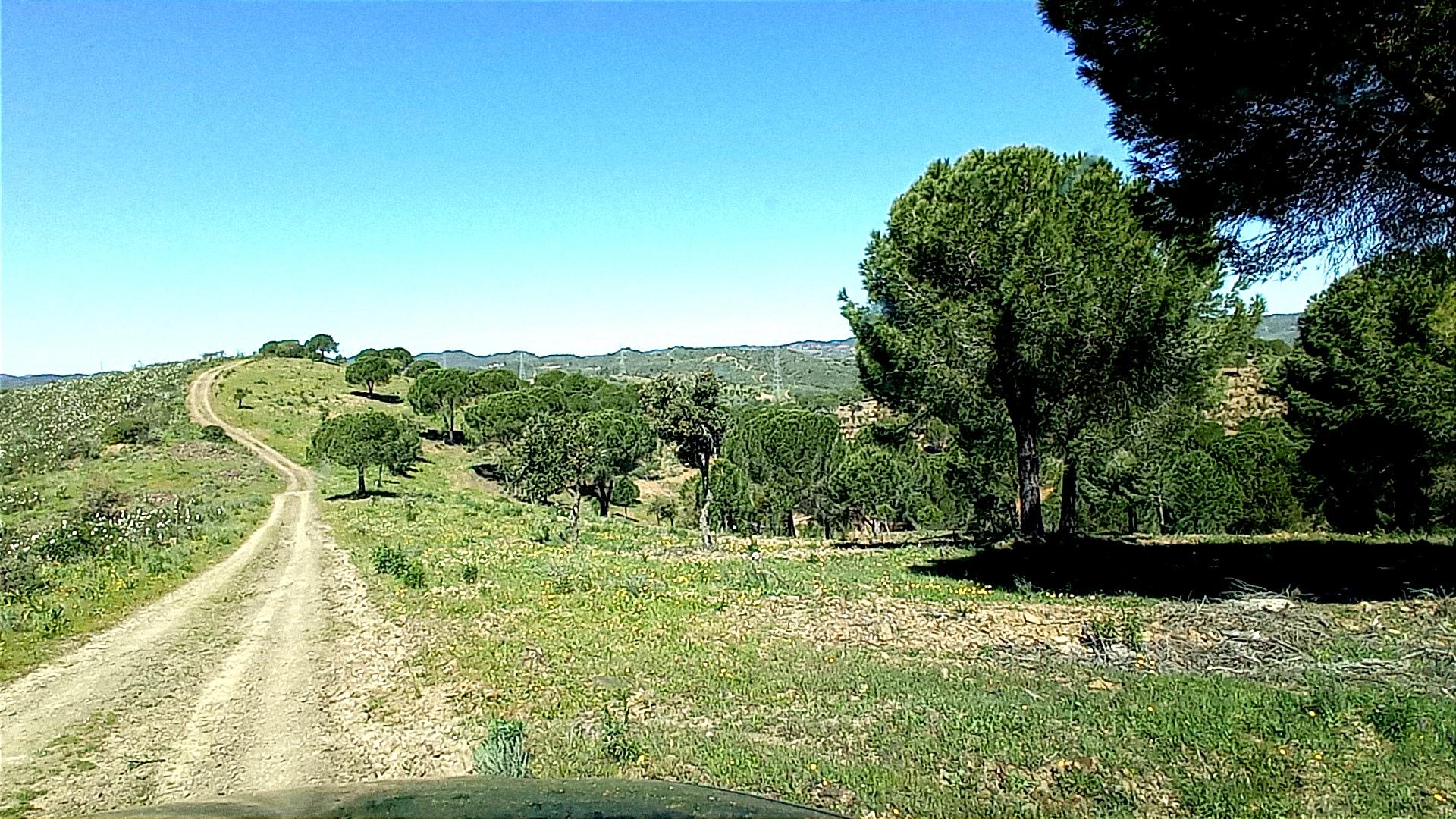 Country Estate in Silves — photograph 5