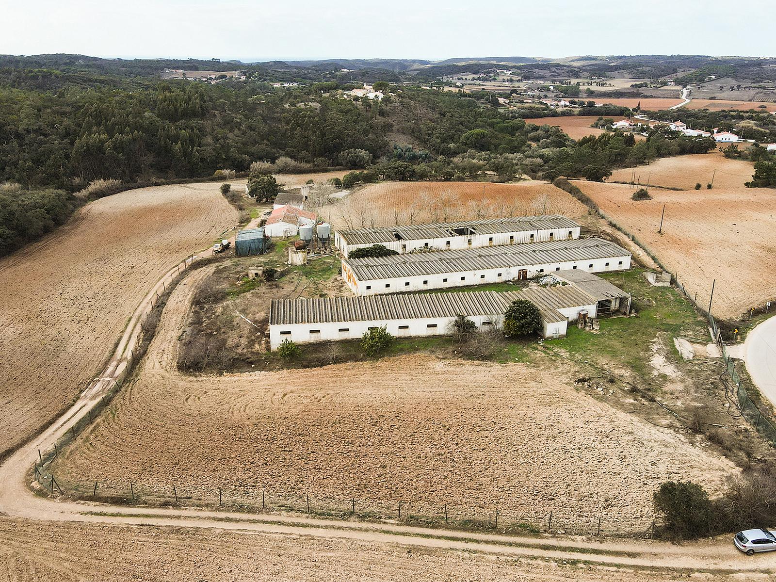 Land in Aljezur (65761) — photograph 2