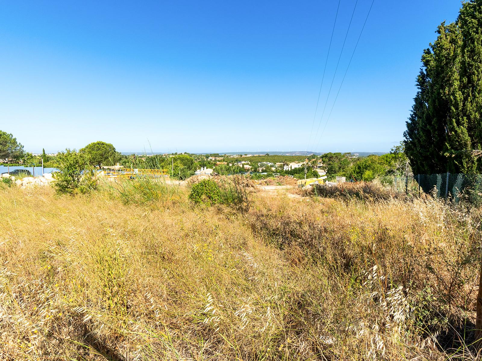 Land in Lagos (97677) — photograph 4