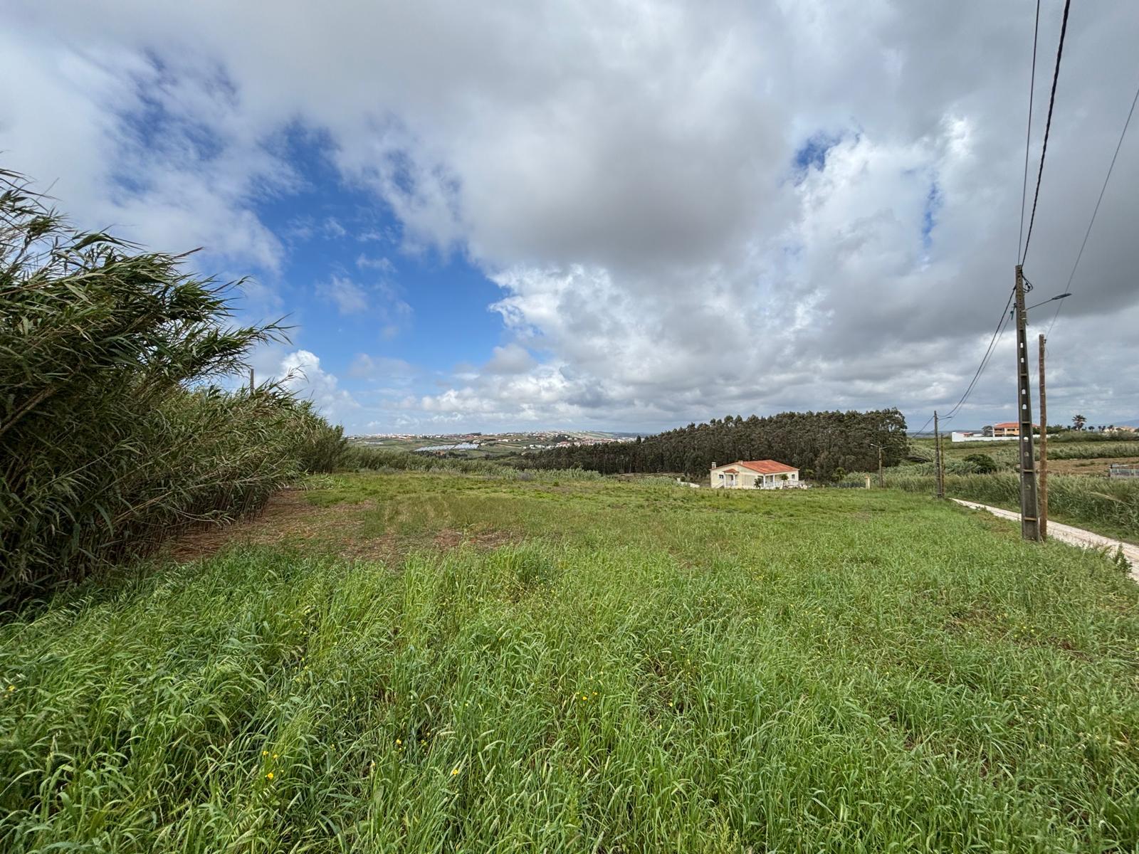 Land in Torres Vedras — photograph 4