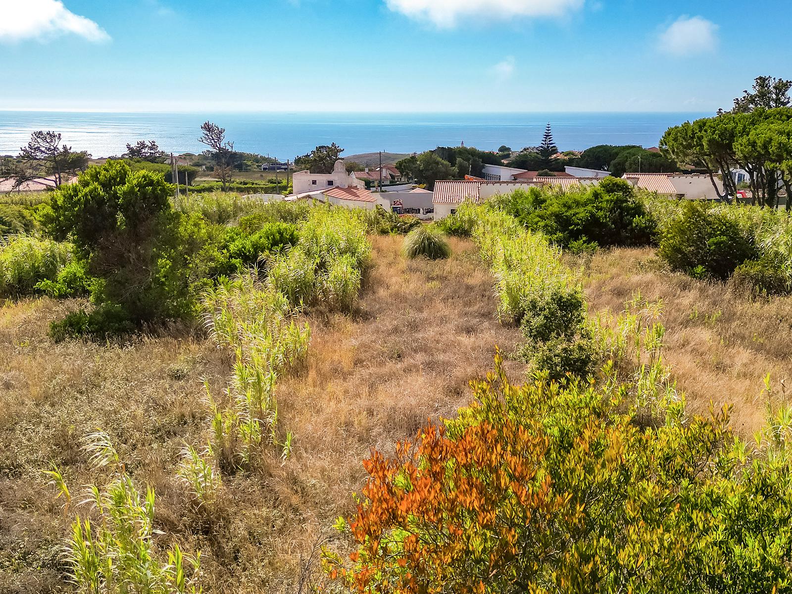 Land in Sintra (99424) — photograph 1