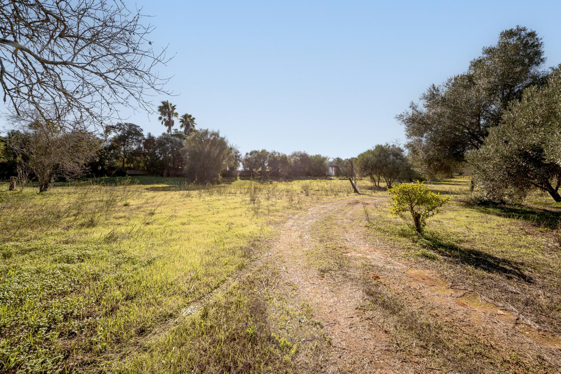 Land in Silves (93912) — photograph 1