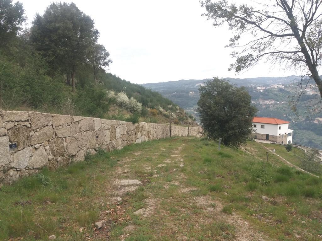 Farm in Cinfães — photograph 1