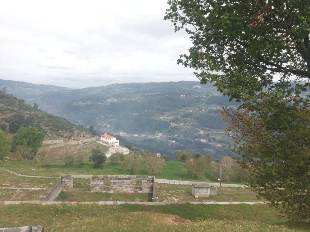 Farm in Cinfães — photograph 5