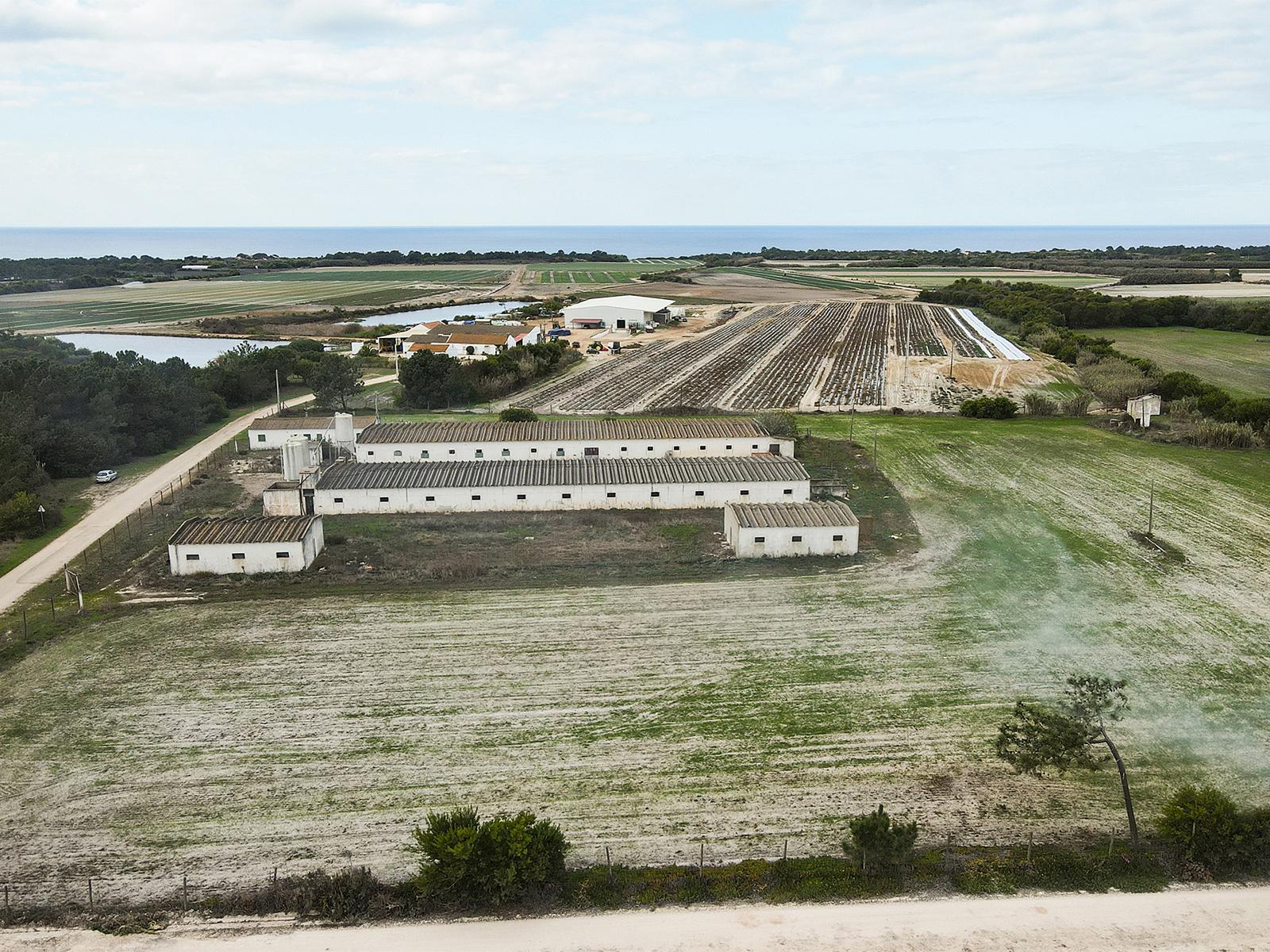 Country Estate in Aljezur (61812) — photograph 1