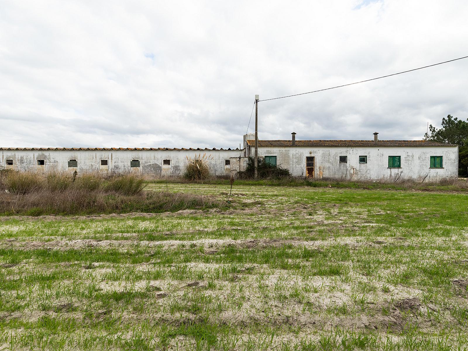 Country Estate in Aljezur (61812) — photograph 5