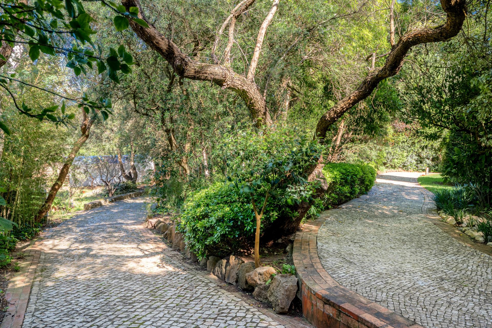 Land in Cascais (80073) — photograph 1