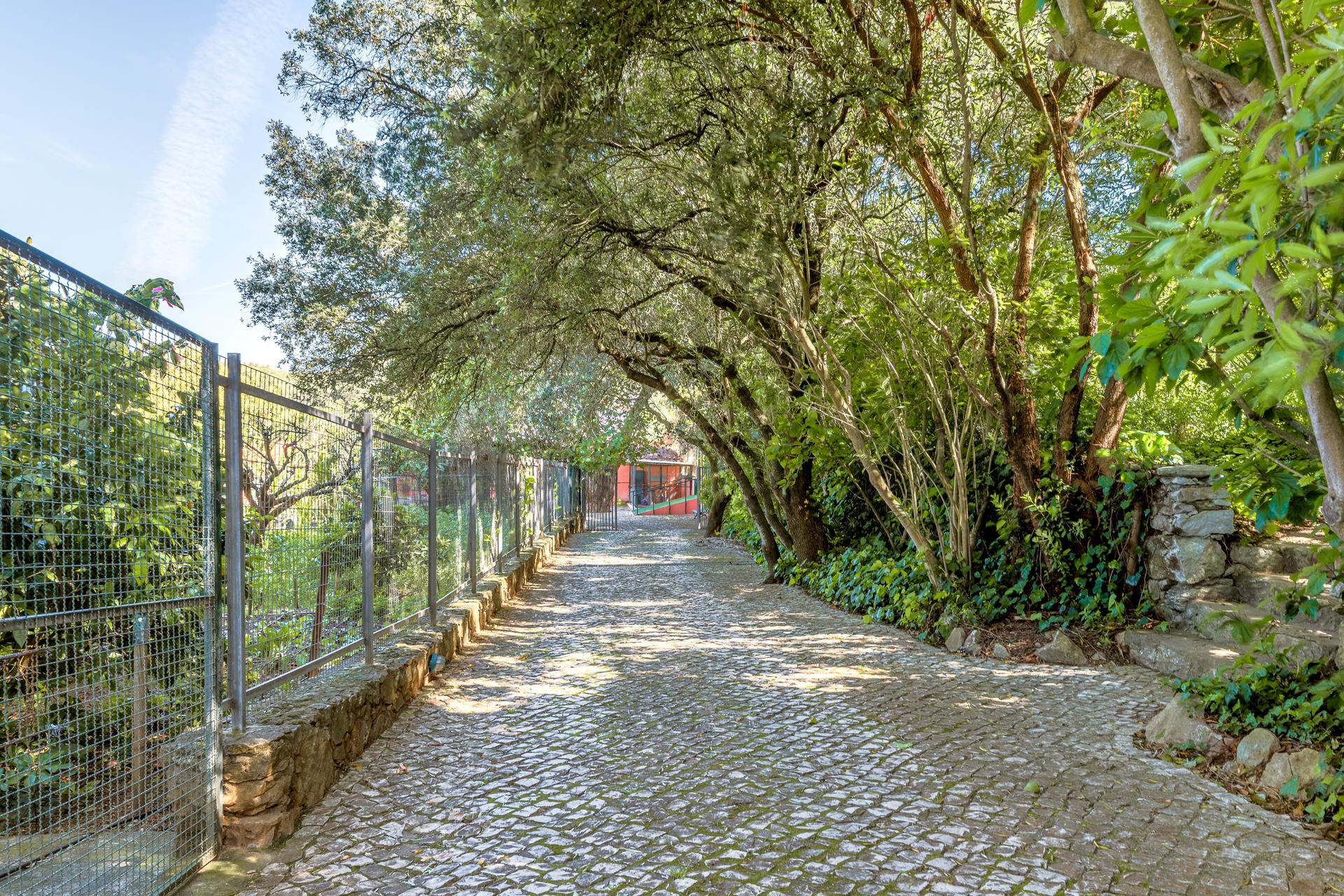 Land in Cascais (80073) — photograph 3