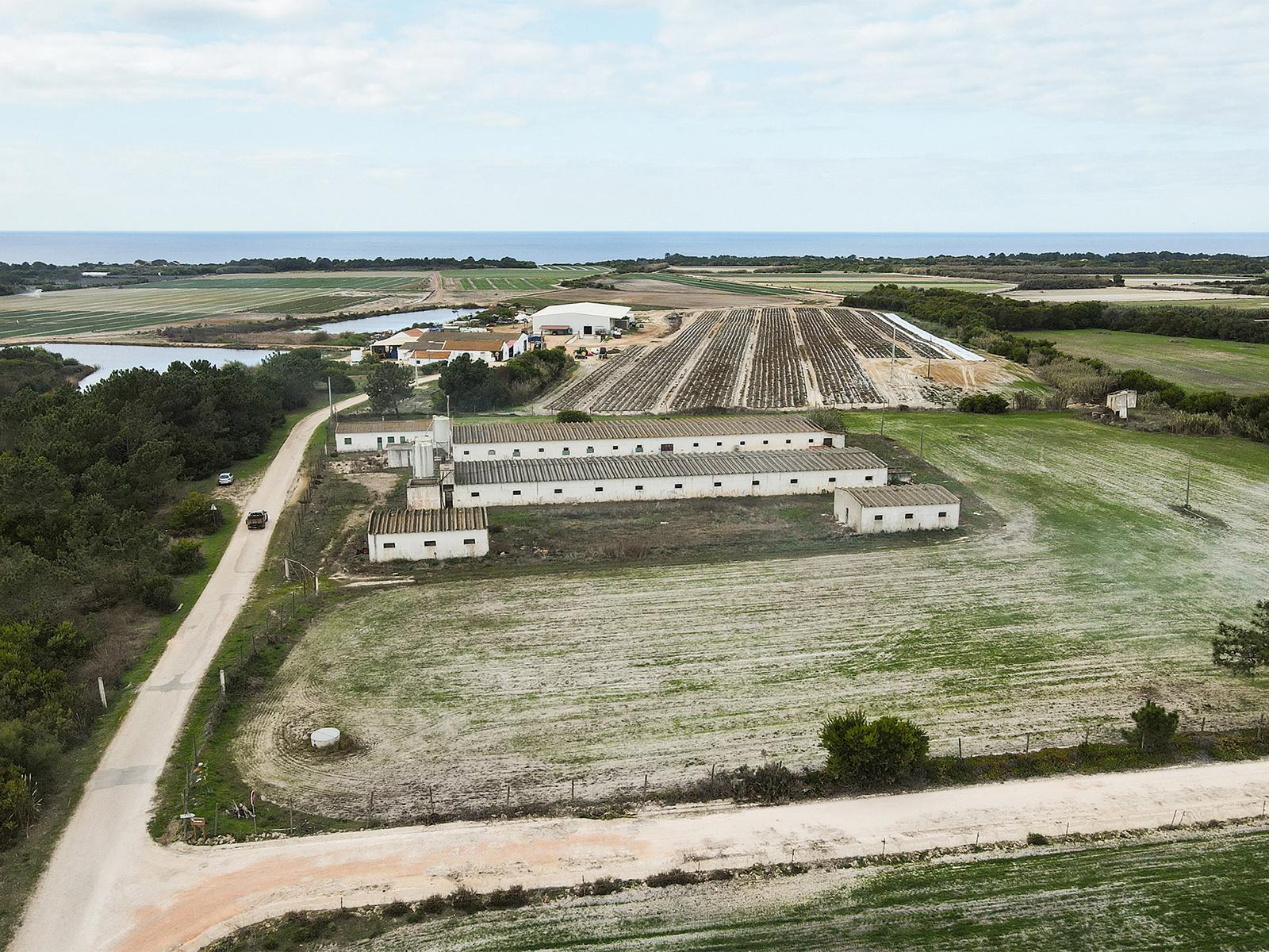 Land in Aljezur (65762) — photograph 2