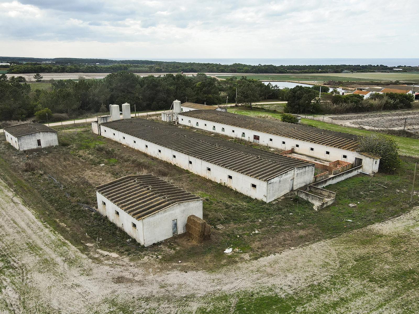 Land in Aljezur (65762) — photograph 4