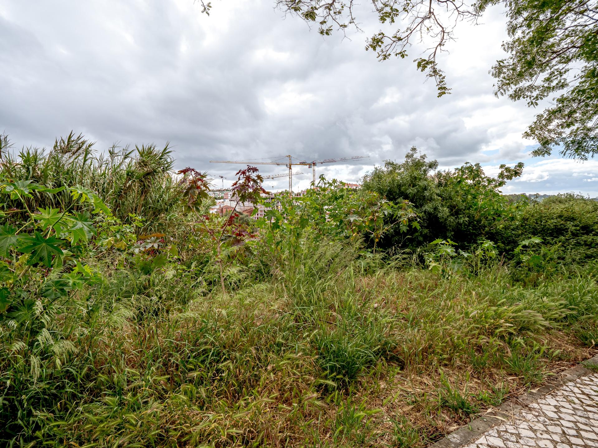 Urban Land in Oeiras (96596) — photograph 3