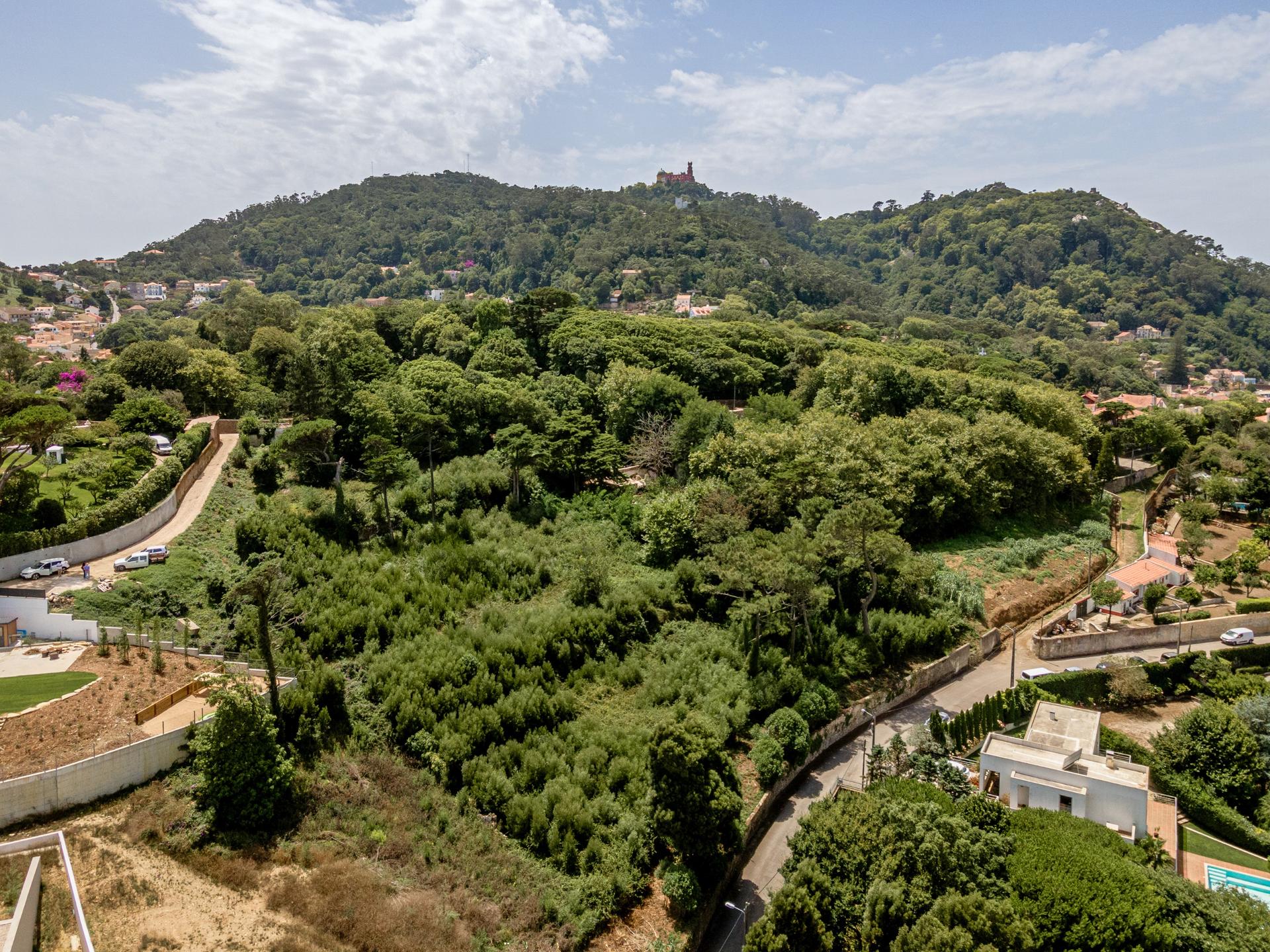 Land in Sintra (82297) — photograph 1