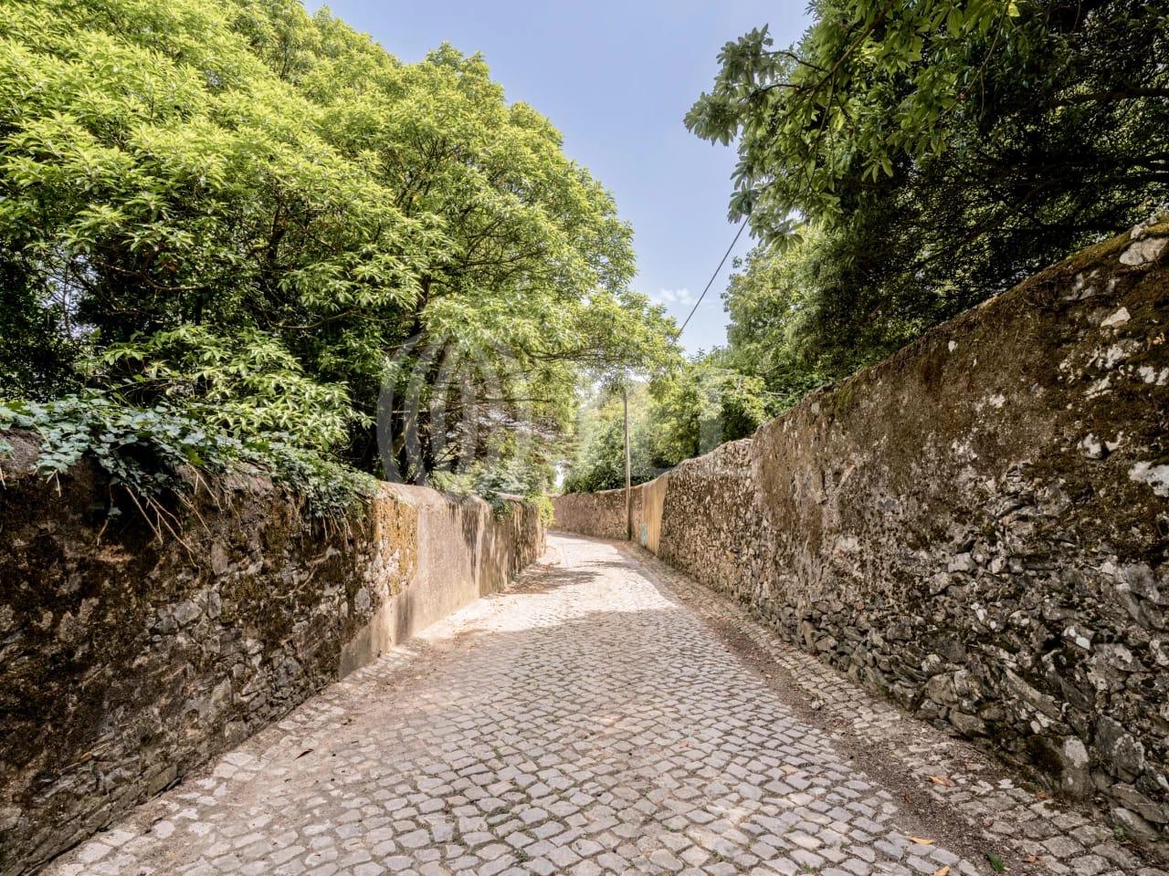 Land in Sintra (82297) — photograph 3