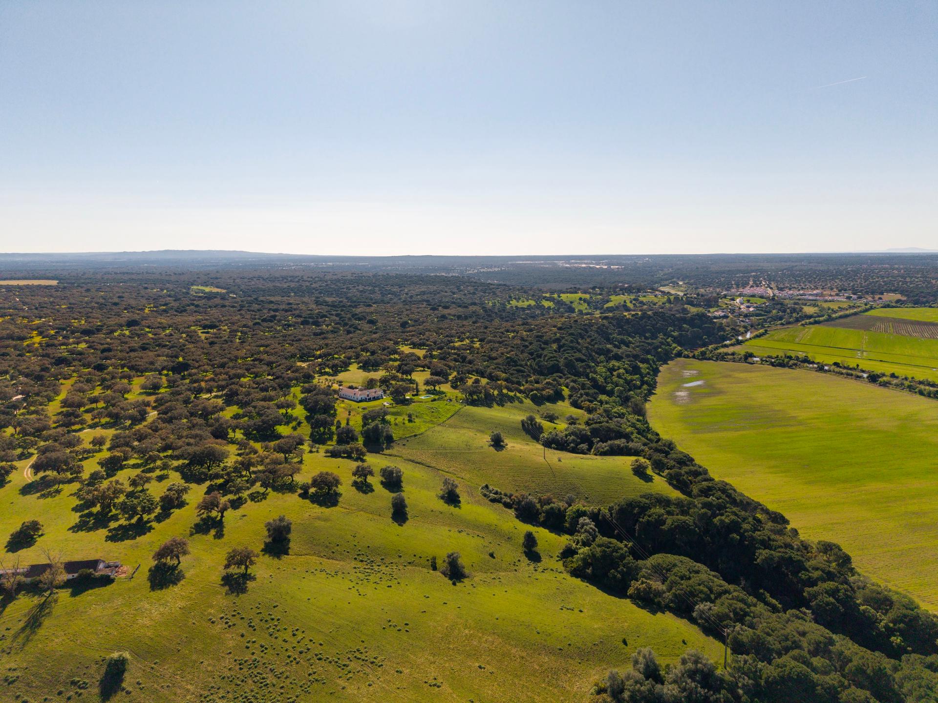 Land in Alcácer do Sal (96043) — photograph 3